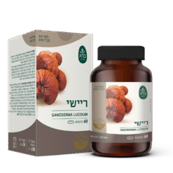 כמוסות ריישי 60 טבליות | Ganoderma lucidum