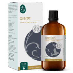 Ziziphus | זיזיפוס