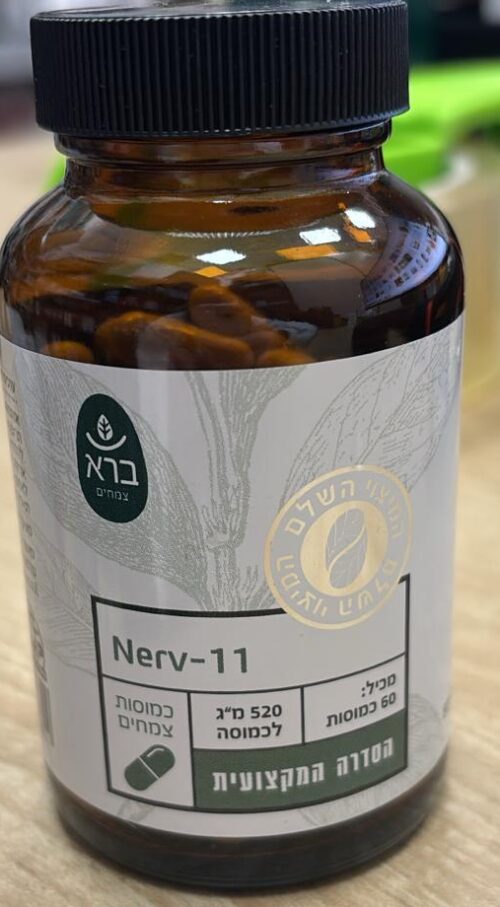 Nerv -11 ברא