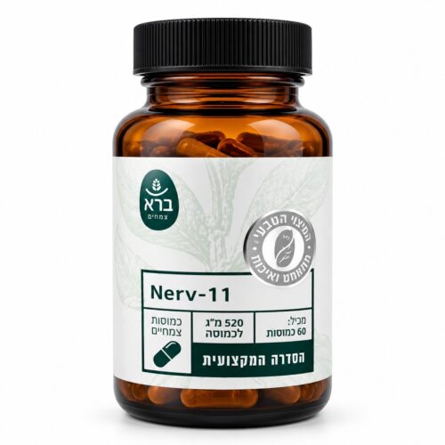 Bara NERV 11 – פורמולת צמחי מרפא 60 כמוסות